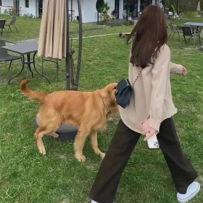 死亡医师第一季