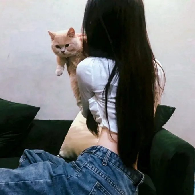 人间情缘