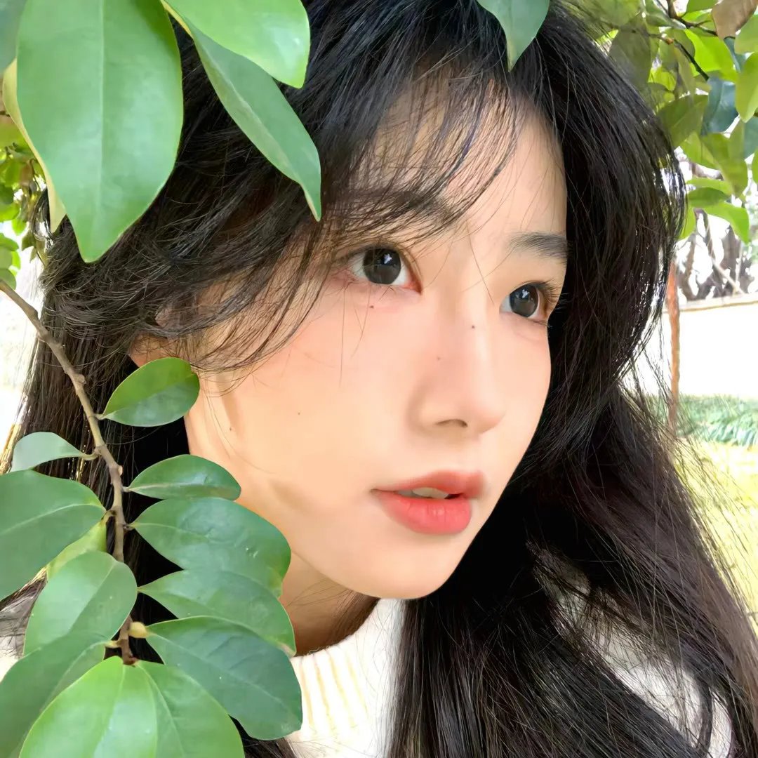 天才猫奴画家